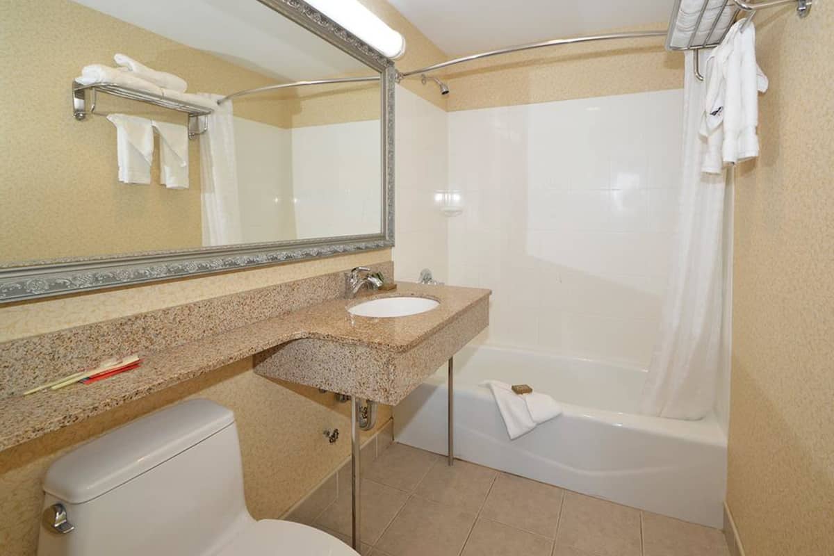 combined shower/bathtub, free toiletries, hair dryer, towels