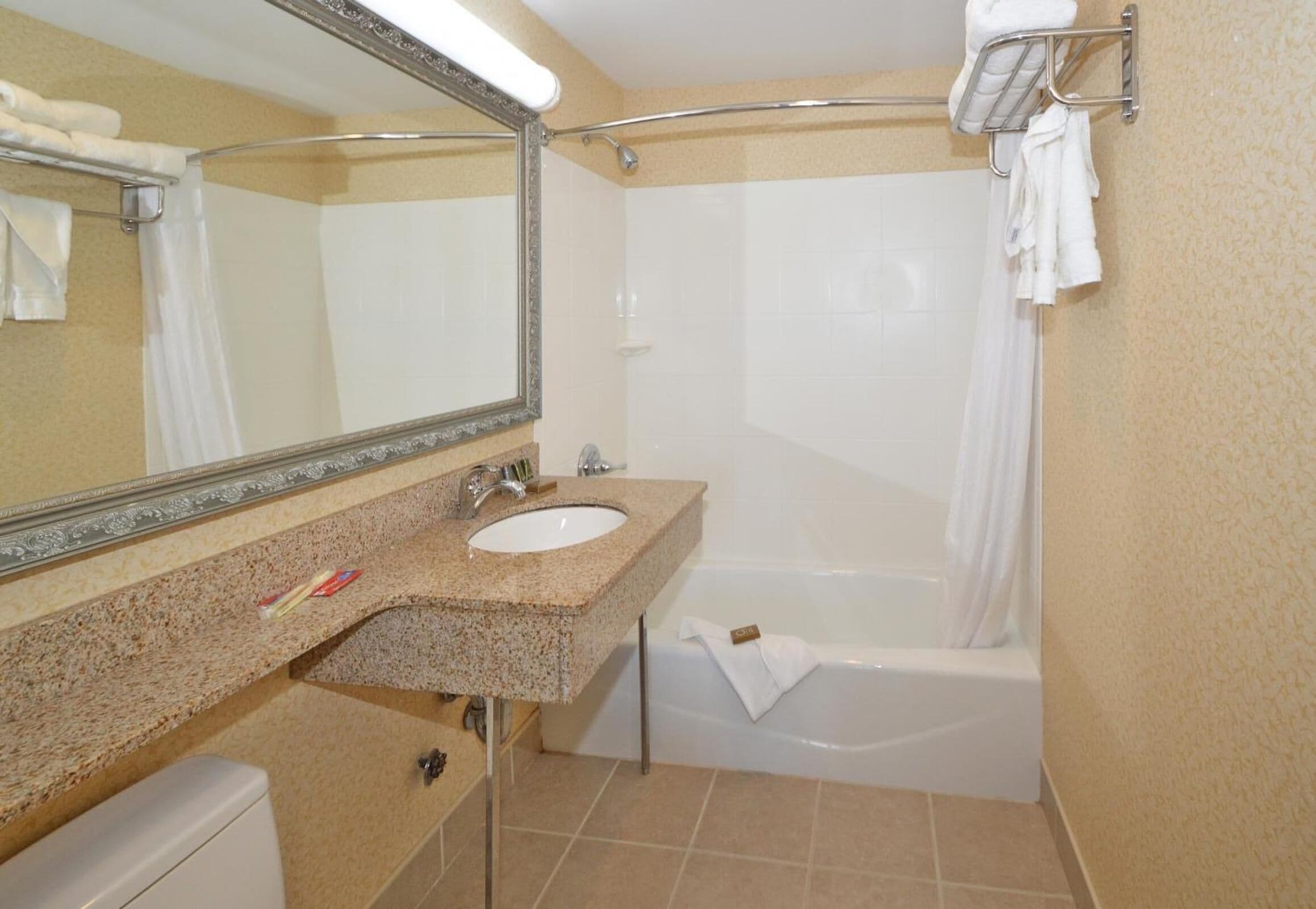 combined shower/bathtub, free toiletries, hair dryer, towels