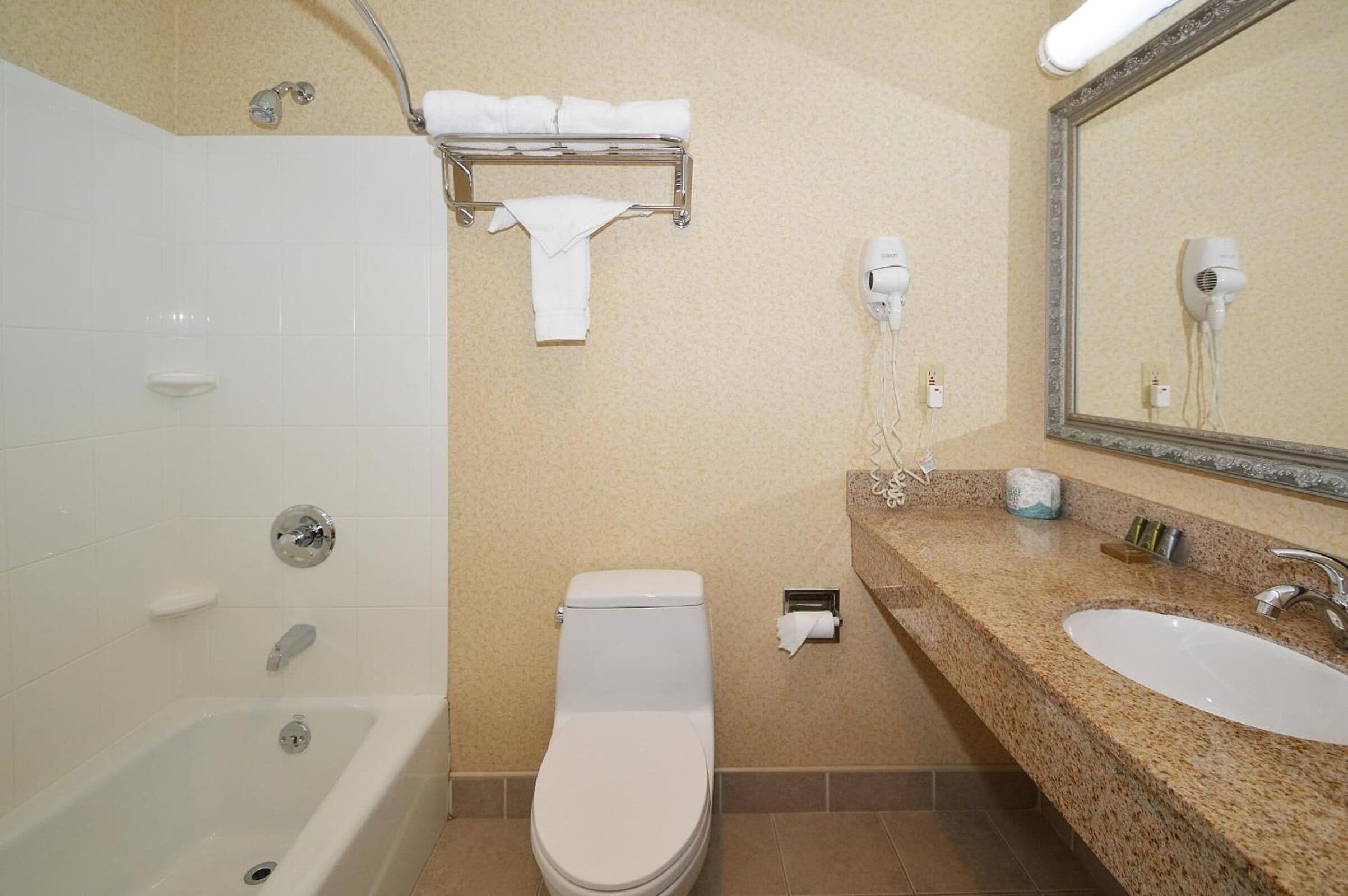 combined shower/bathtub, free toiletries, hair dryer, towels