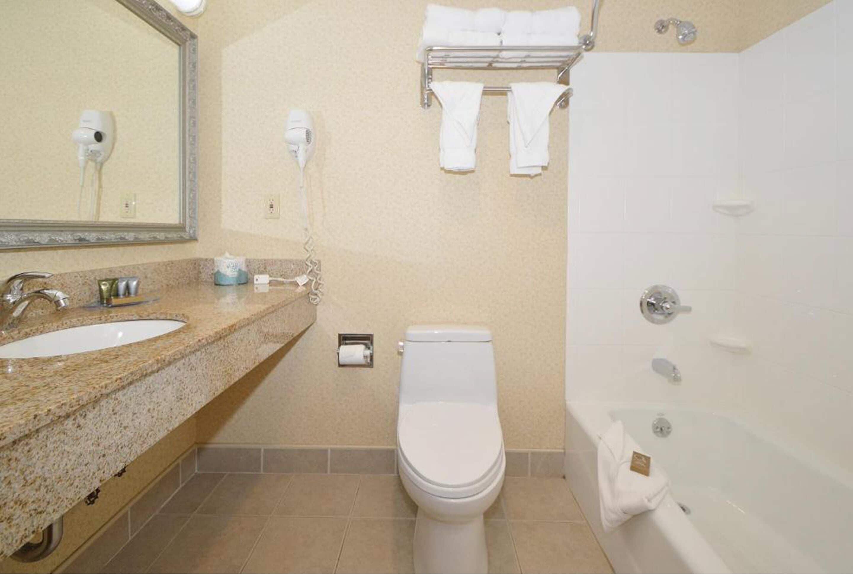 combined shower/bathtub, free toiletries, hair dryer, towels