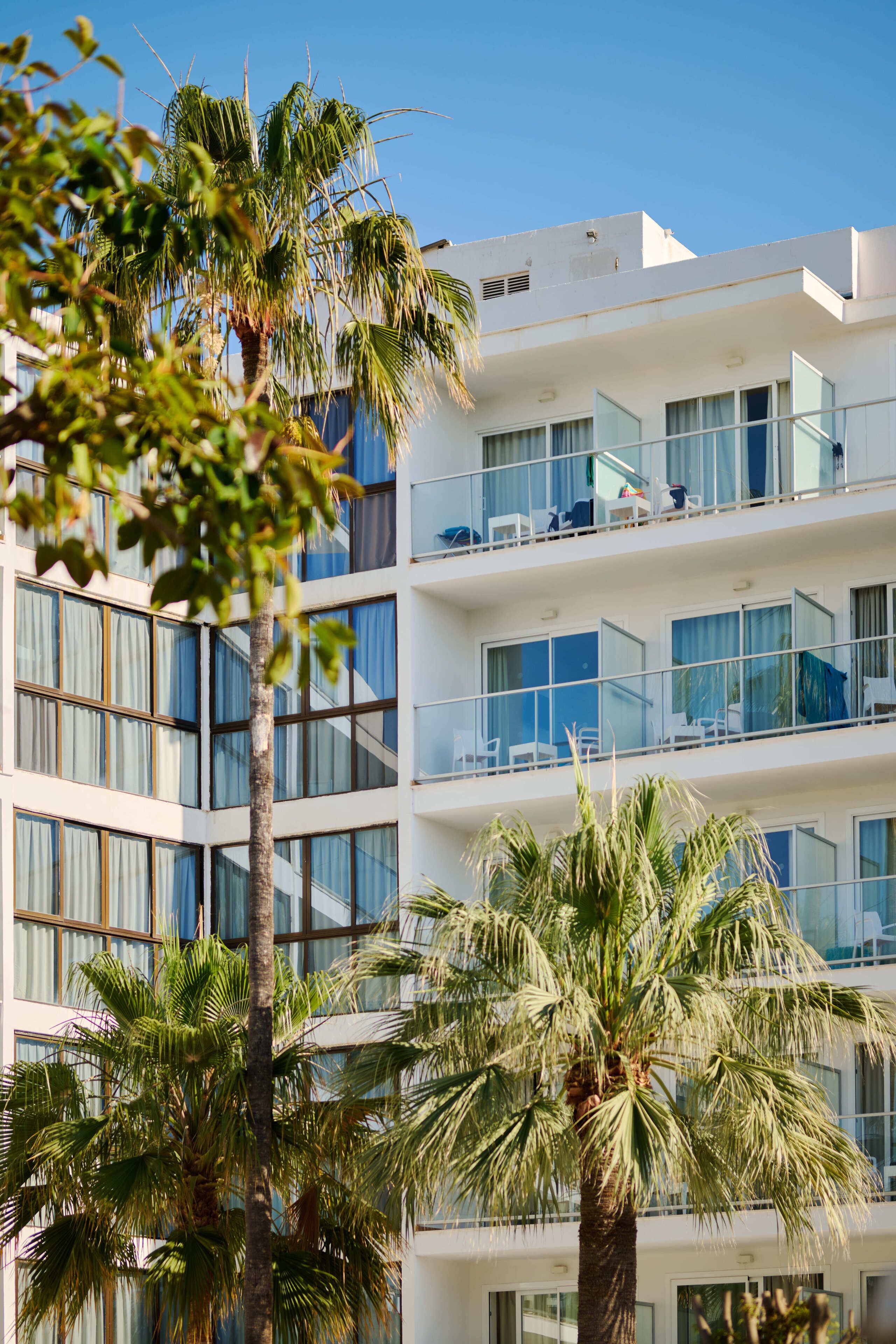 Foto - Alua Boccaccio