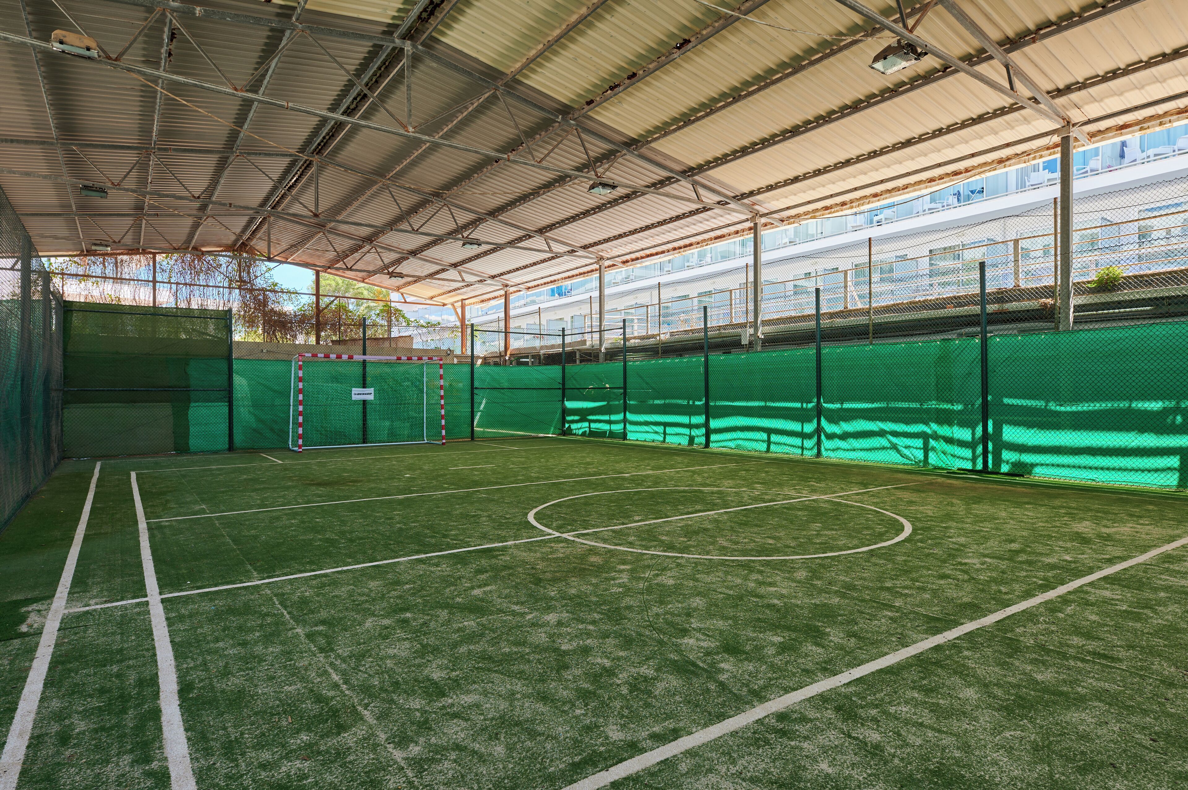 Foto - Alua Boccaccio