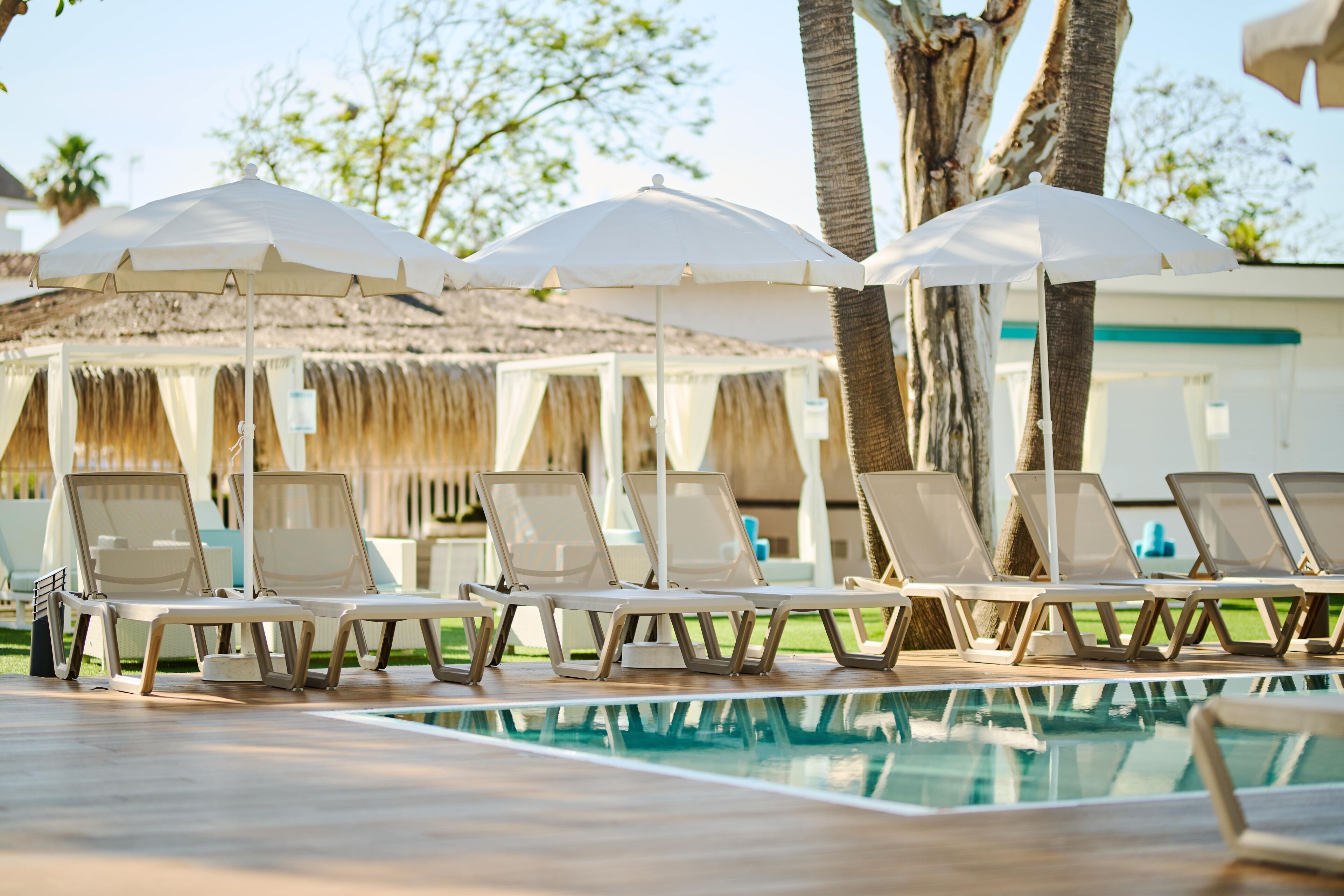 Foto - Alua Boccaccio