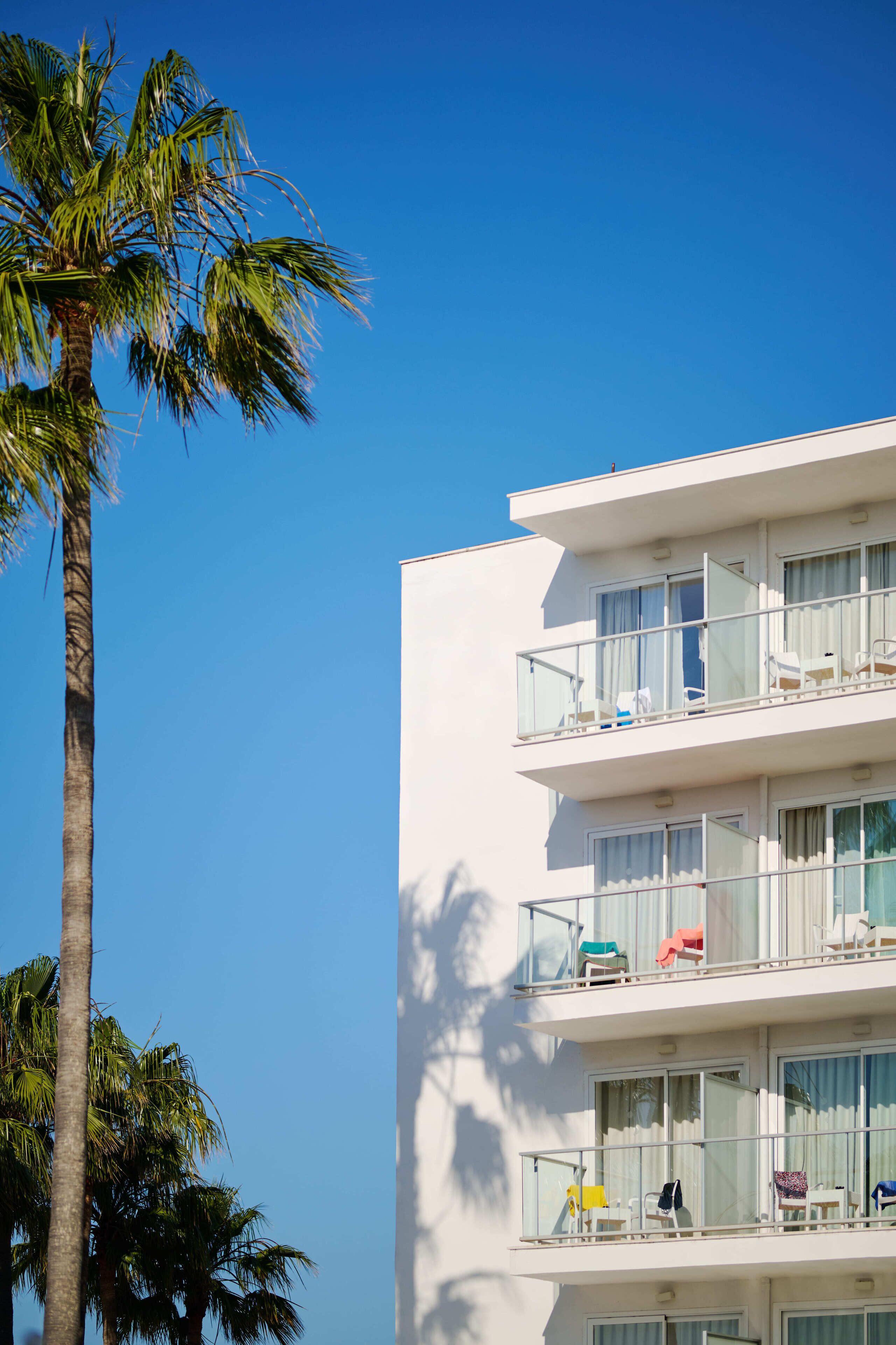 Foto - Alua Boccaccio