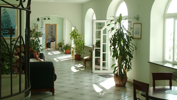 Una habitación amplia con suelo de baldosas, una planta grande en maceta, una silla de madera y una mesa de comedor con sillas.