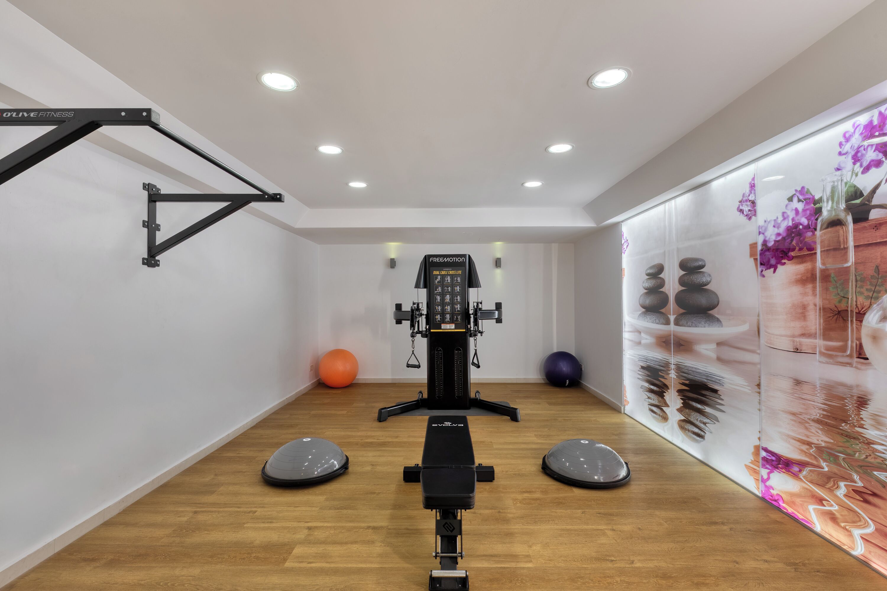 Une salle de sport équipée d’une barre de traction, d’un appareil d’exercice et de deux ballons d’équilibre.
