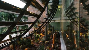 Un jardín de cactus con techo de cristal y vigas de metal.