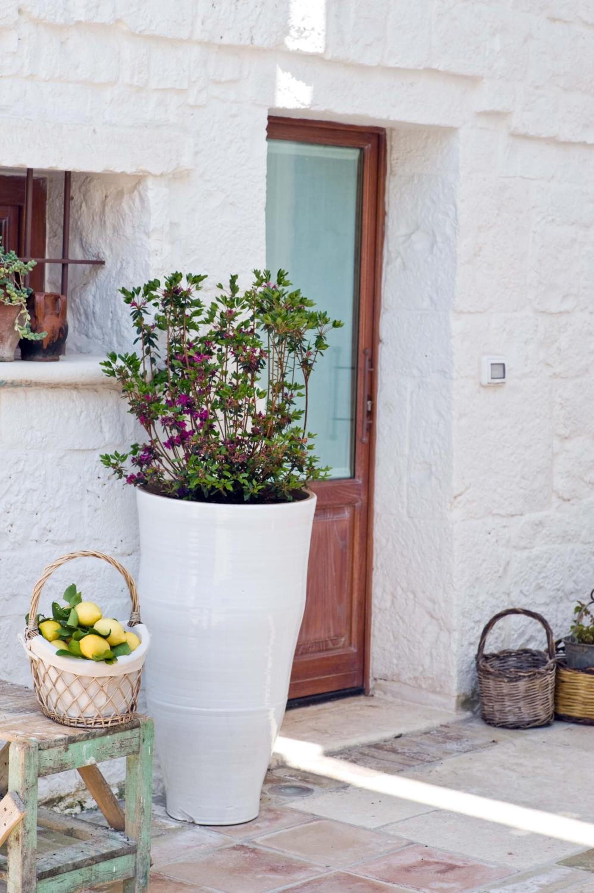 A white potted plant with purple flowers next to a wooden door.