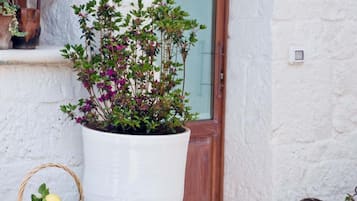 Ein weißer Blumentopf mit violetten Blüten neben einer Holztür.