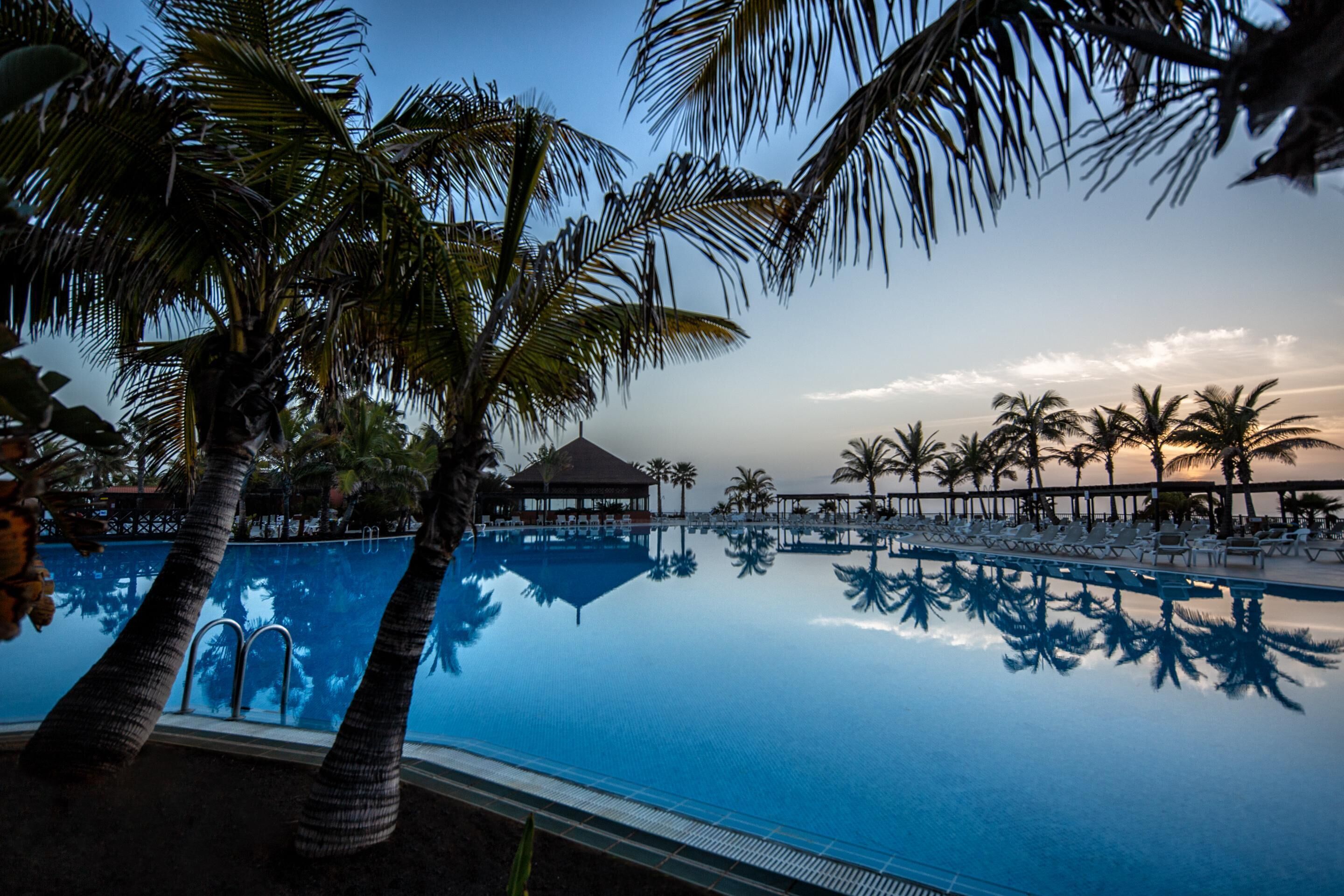 A clear view of a swimming pool surrounded by palm trees and lounge chairs, with a building in the background.