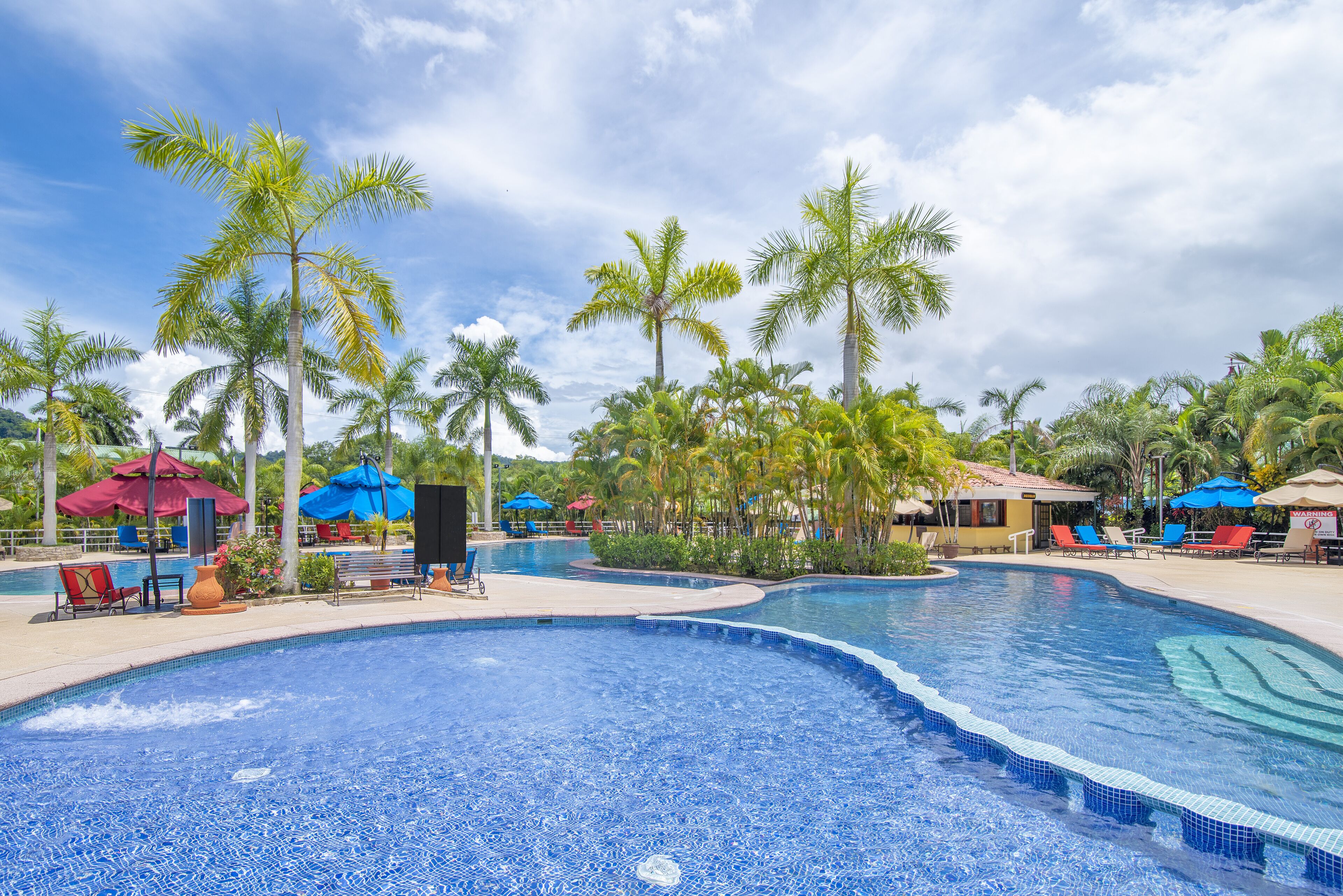 A resort pool area with palm trees, lounge chairs, and umbrellas.