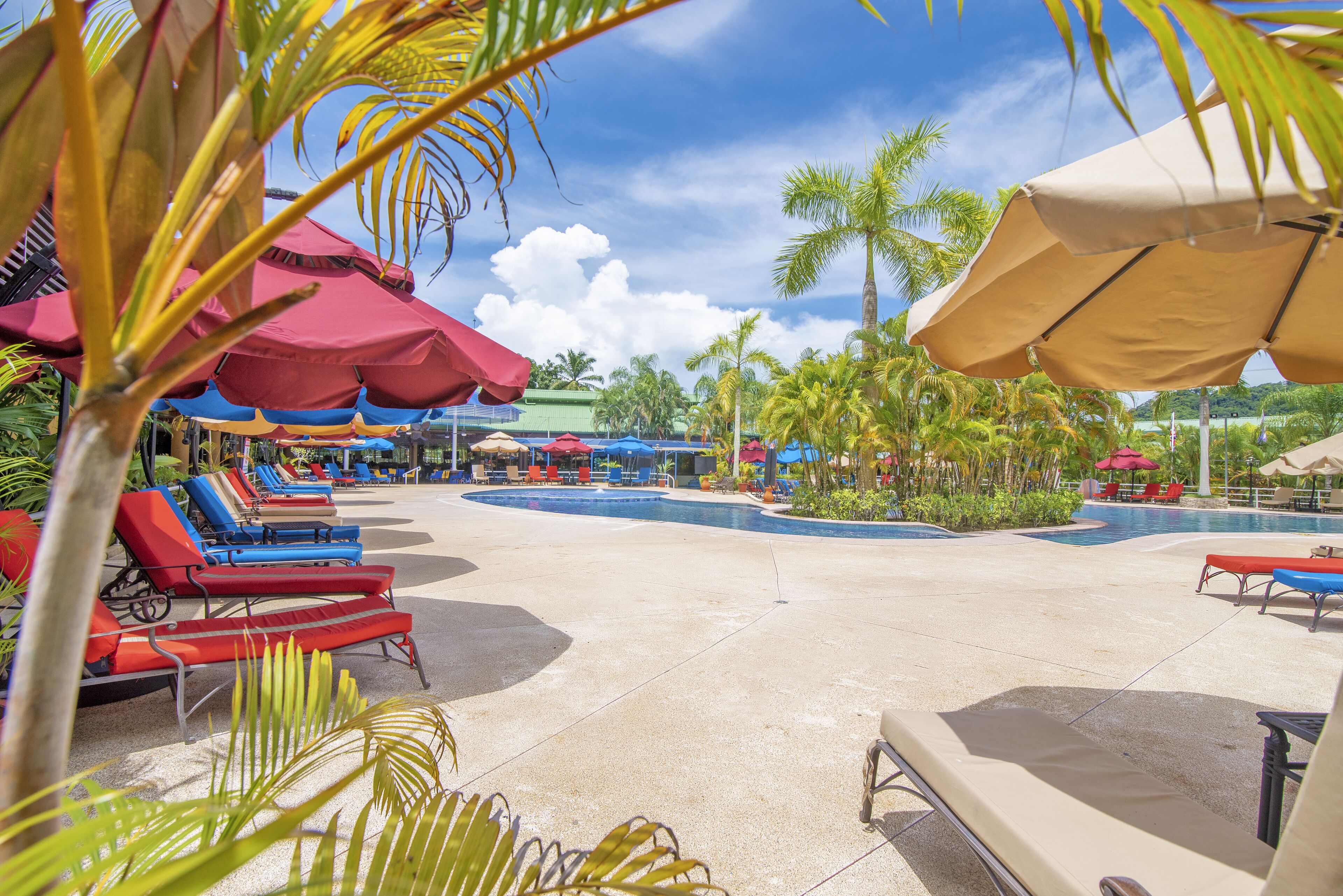 A poolside area with lounge chairs and umbrellas, surrounded by palm trees and a clear sky.