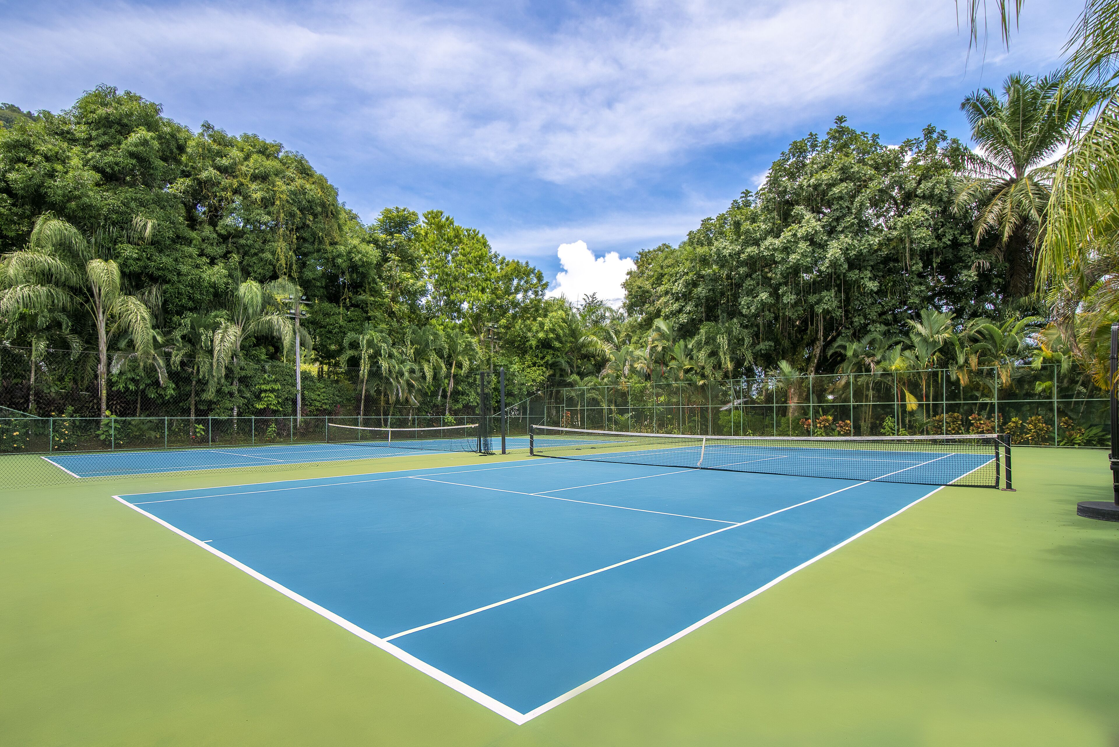 A tennis court surrounded by lush greenery and trees.