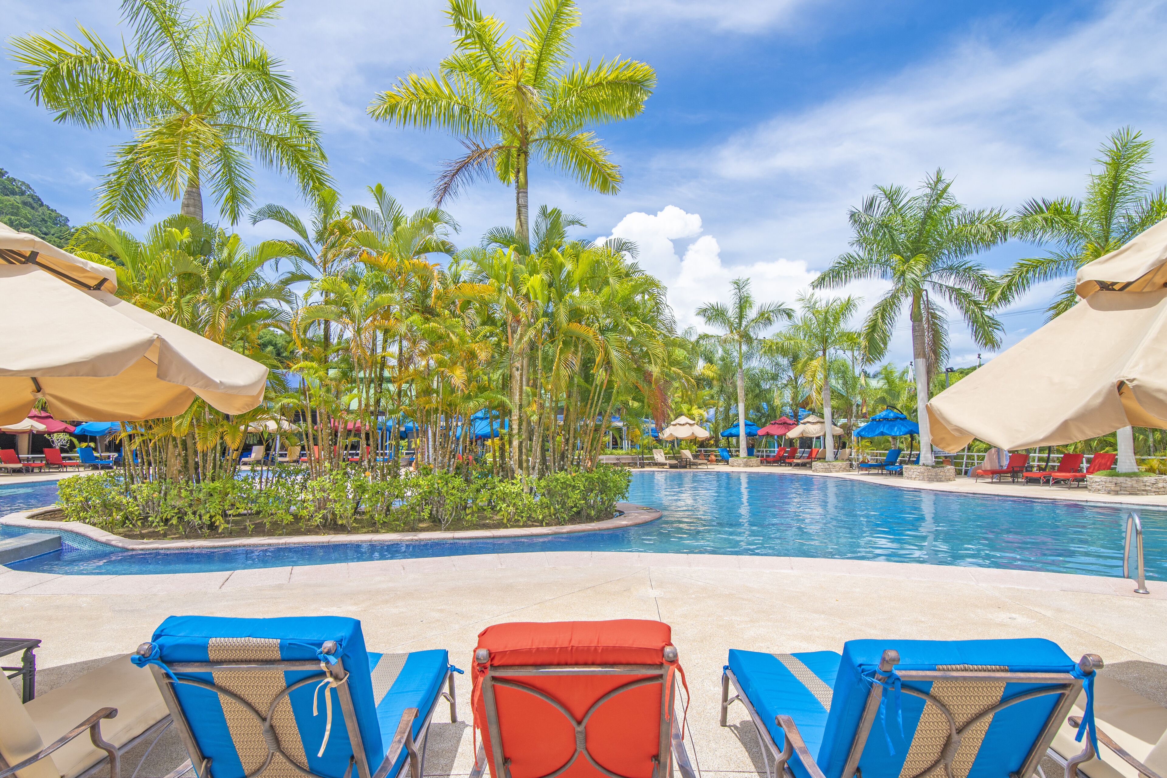 Un espace aménagé au bord de la piscine, avec des chaises longues et des parasols, entouré de palmiers.