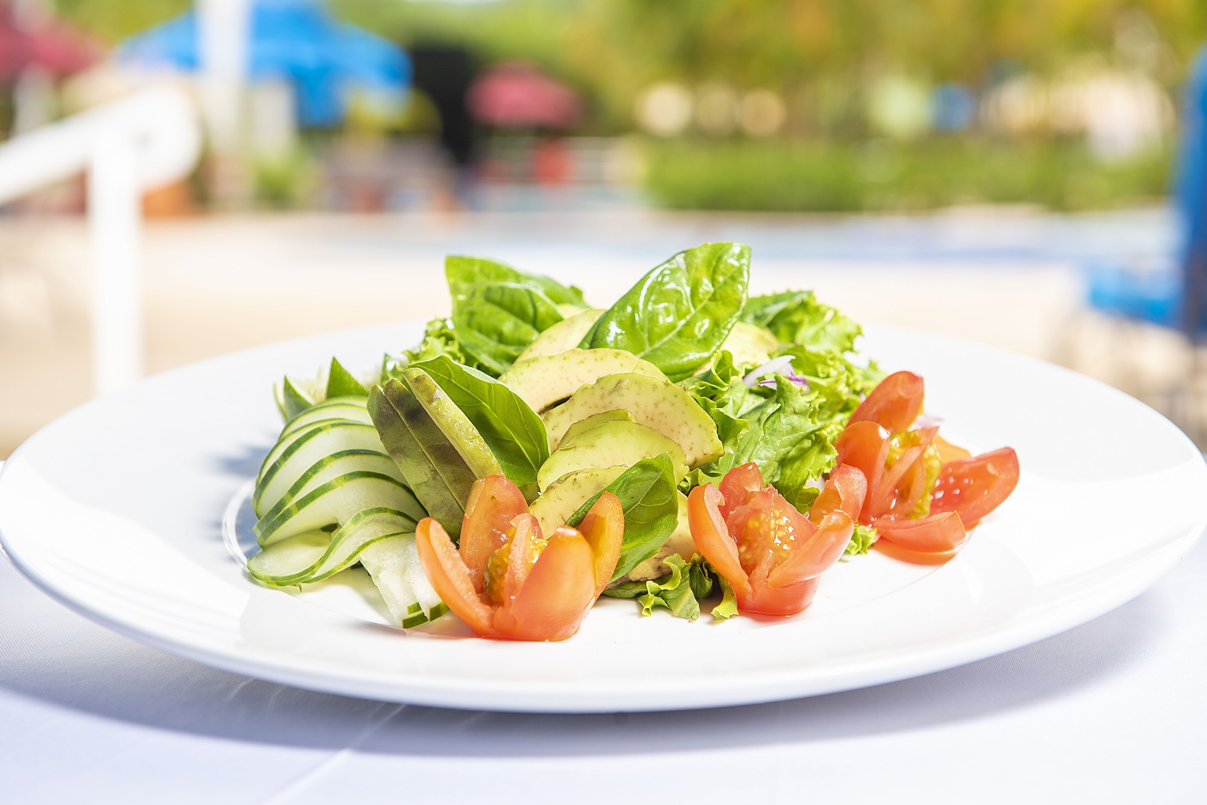 Un plato de ensalada fresca con lechuga, tomates y láminas de aguacate.