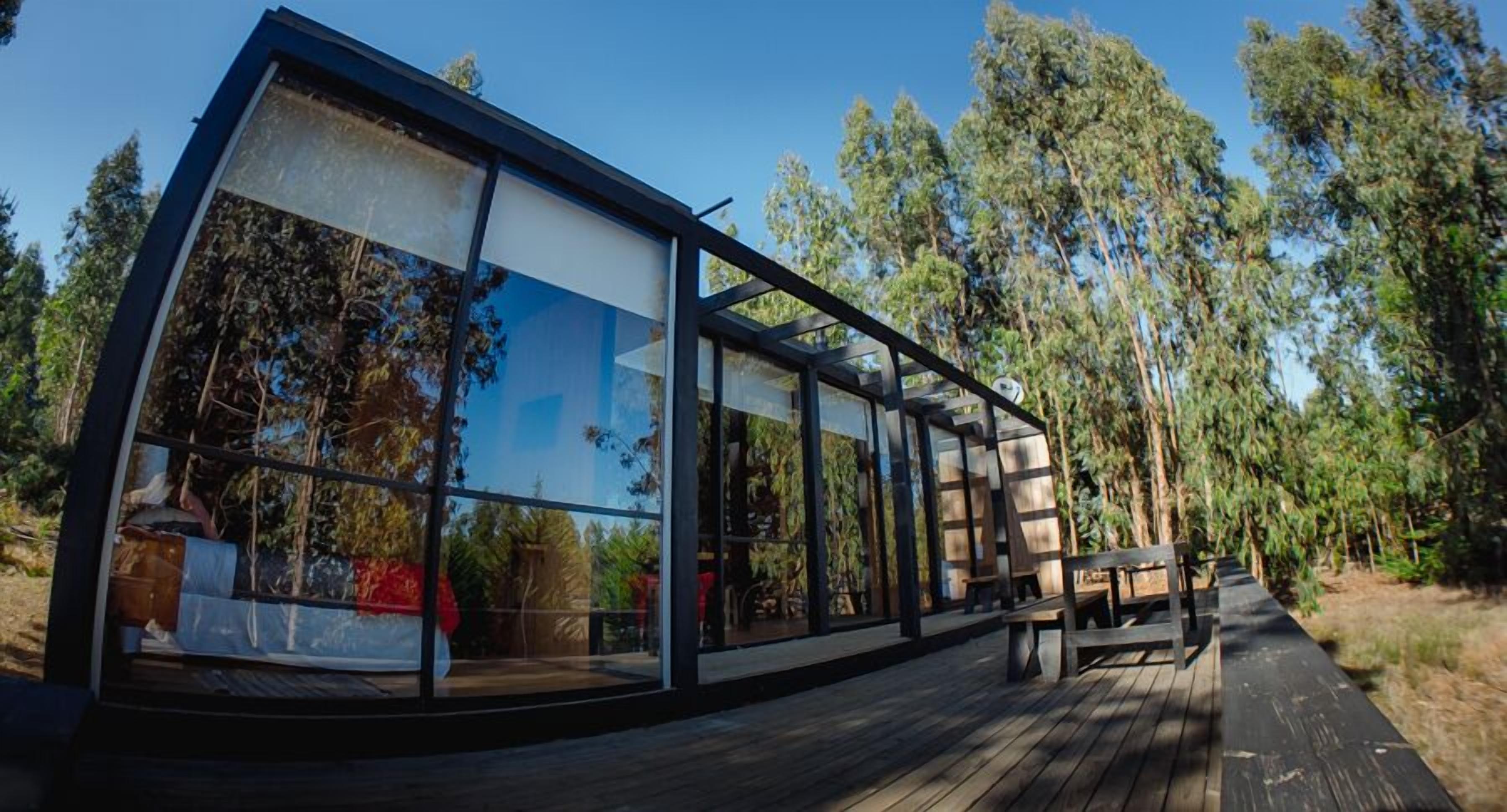 Een modern glazen huis met een houten terras, omgeven door een bos.