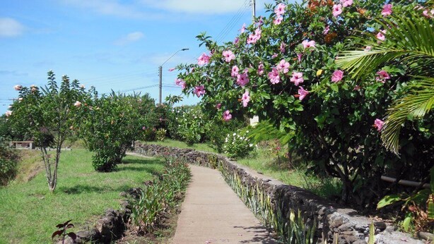 A paved pathway flanked by lush greenery and flowering plants. - Tupa Hotel (Hanga Roa)