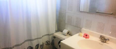 A bathroom with a toilet, sink, and shower curtain.
