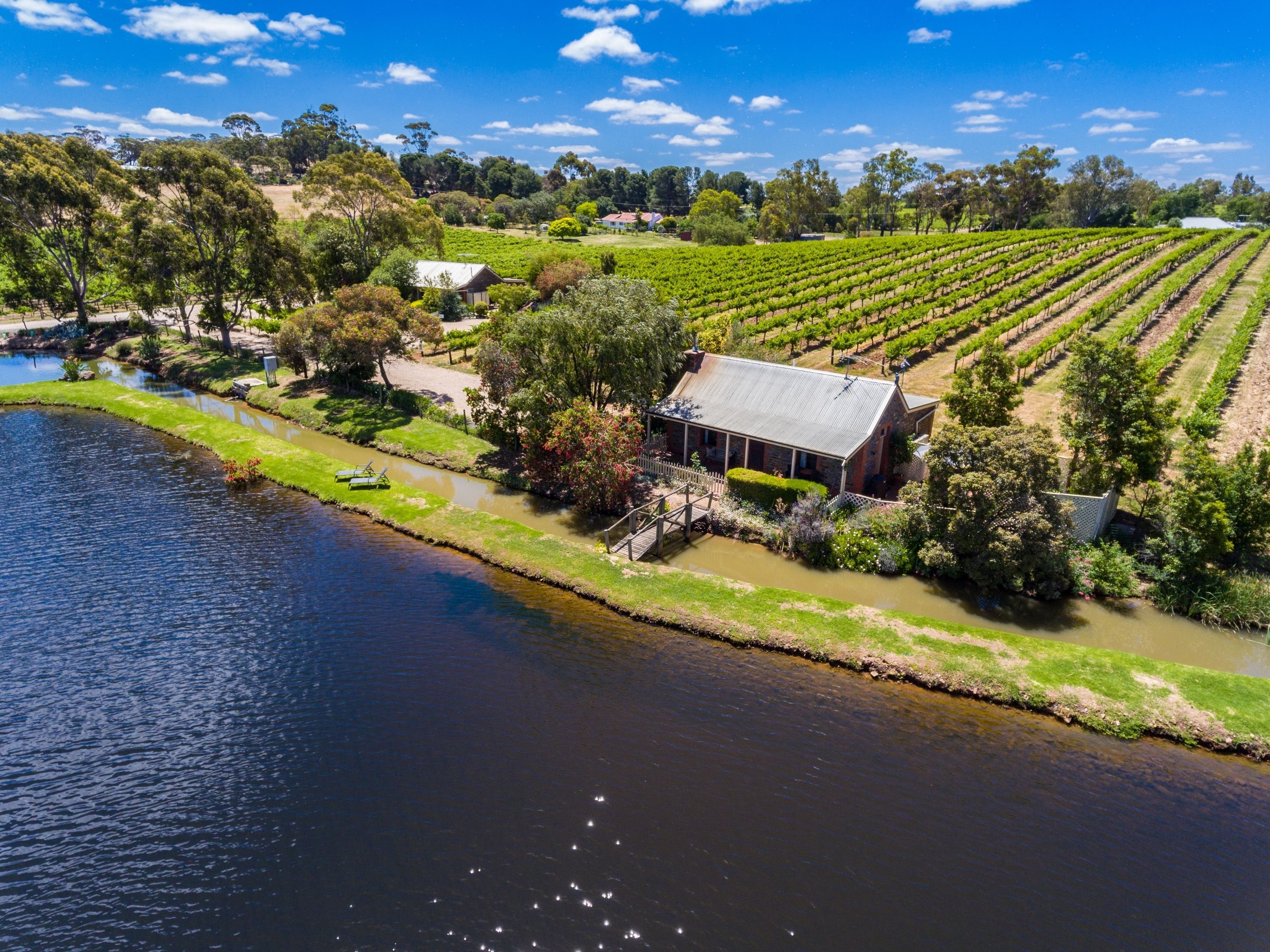 A vineyard with rows of grapevines, a house with a covered porch, and a small bridge over a calm river.