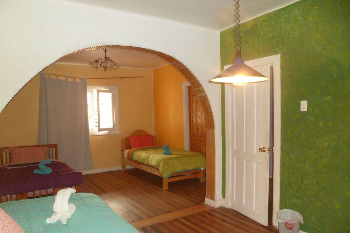 Shared Dormitory, Mixed Dorm (5 People) Breakfast cost is 3000 CLP per person) | 각각 다른 스타일의 인테리어, 암막 커튼, 간이 침대, 무료 WiFi