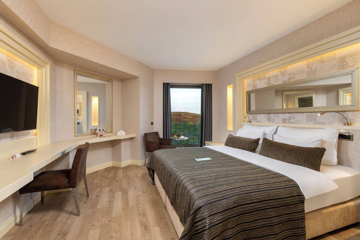 Een hotelkamer met een groot bed, een bureau met stoel, een televisie en een raam met uitzicht op de omgeving.