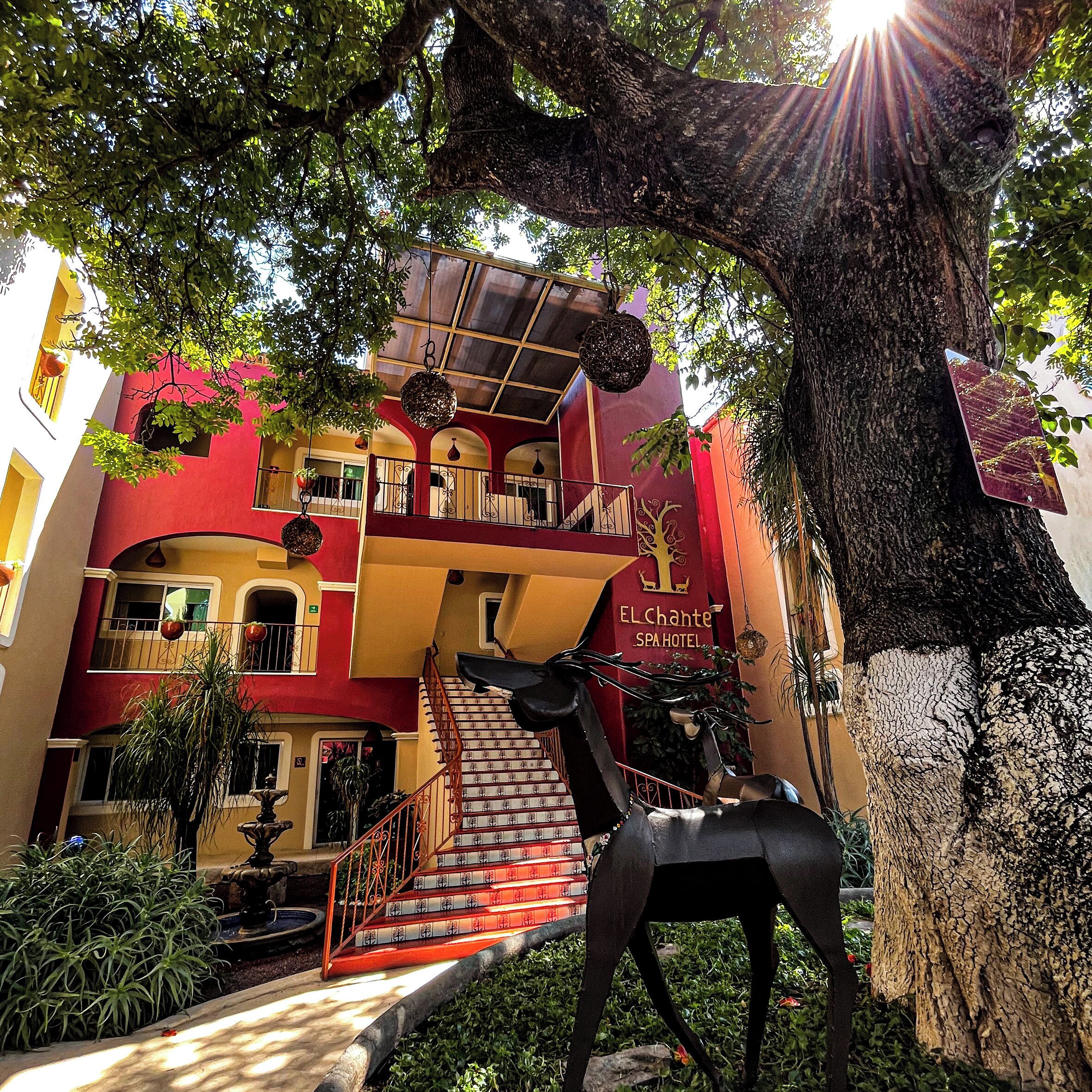 A multi-story building with a red and yellow facade, a staircase leading to the upper floors, and a large tree in the foreground.