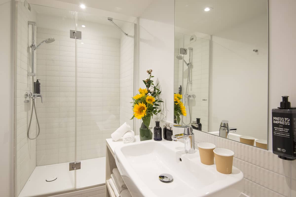 shower, eco-friendly toiletries, hair dryer, towels