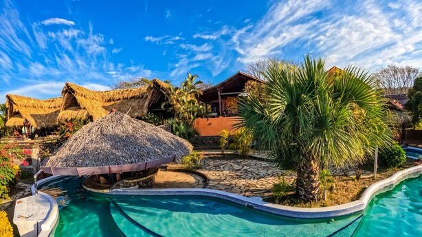 A swimming pool with a curved edge, surrounded by tropical plants and a palm tree. - Hacienda Puerta Del Cielo Ecolodge & Spa (Nandasmo)