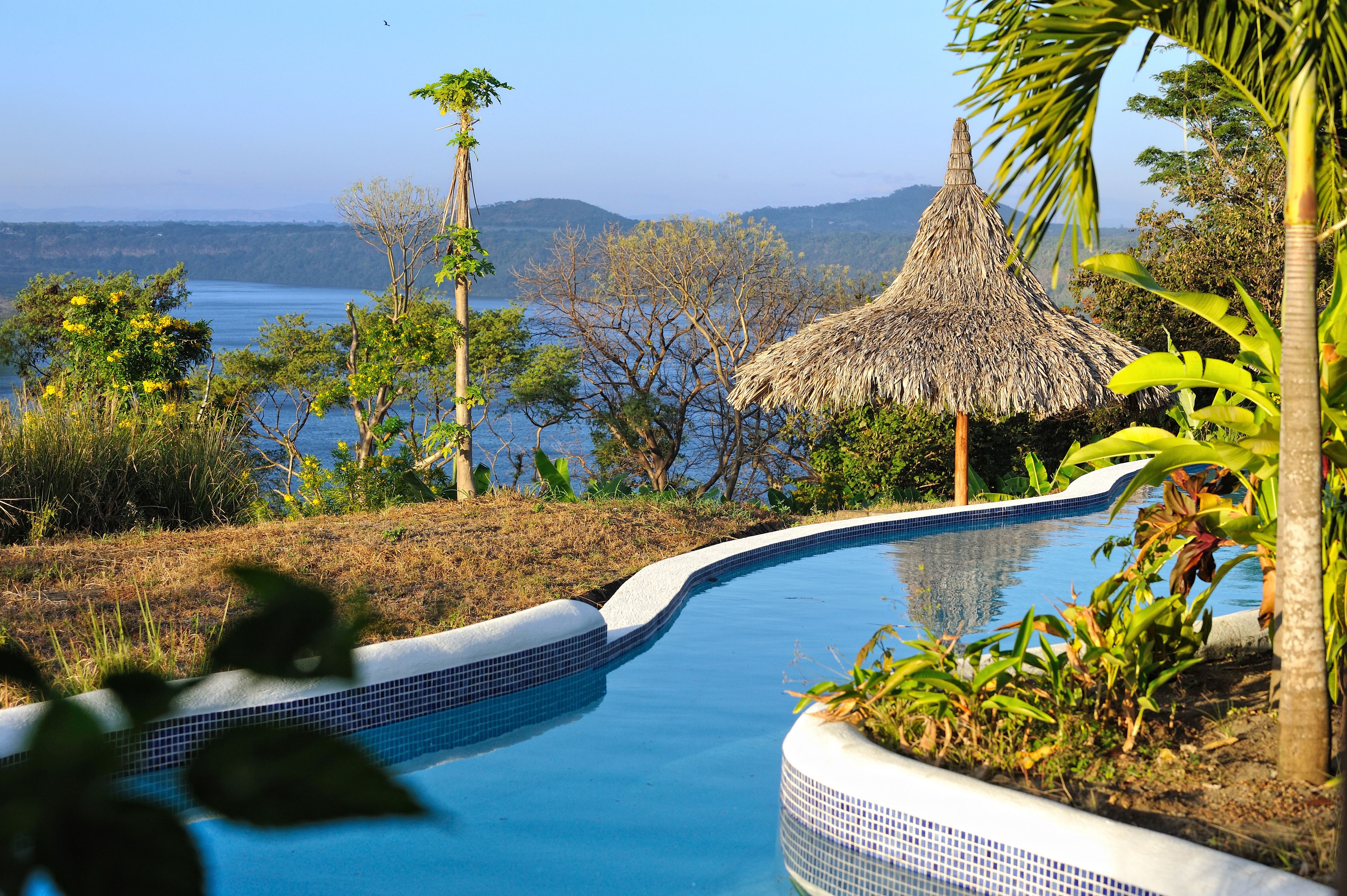 A swimming pool with a curved edge, surrounded by tropical vegetation and a thatched-roof structure.