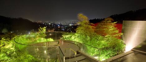 A rooftop garden with a glass balustrade, a small pool, and a view of a cityscape at night.