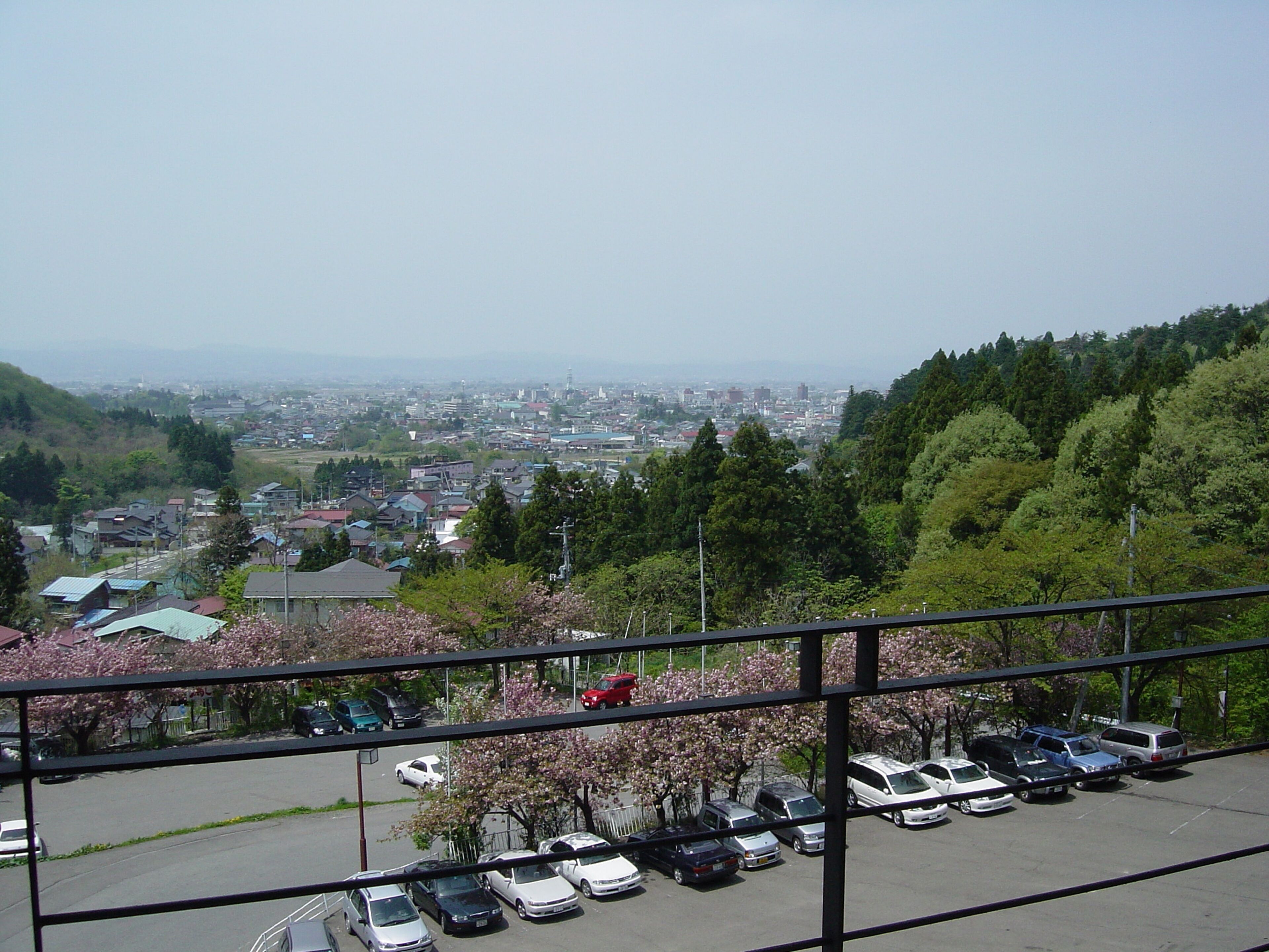 A parking lot with several cars and a view of a cityscape in the background.