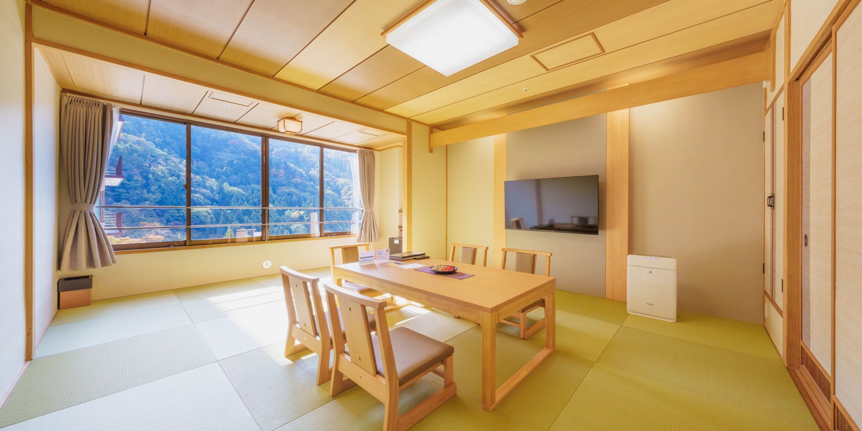 A room with tatami flooring, a wooden dining table, chairs, a TV, and a window with a view of trees.