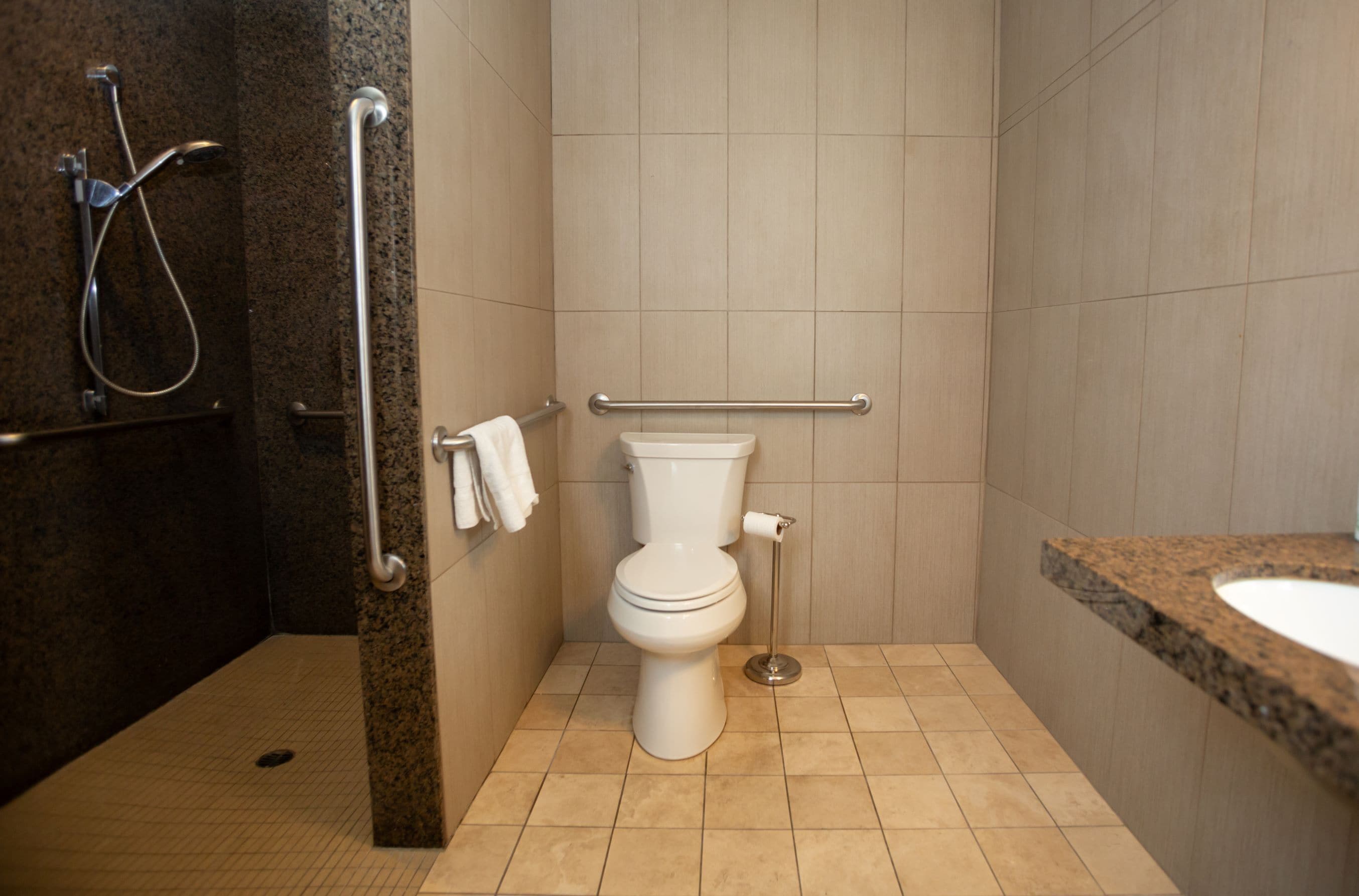 A modern bathroom with a toilet, grab bars, a shower area, and a sink.