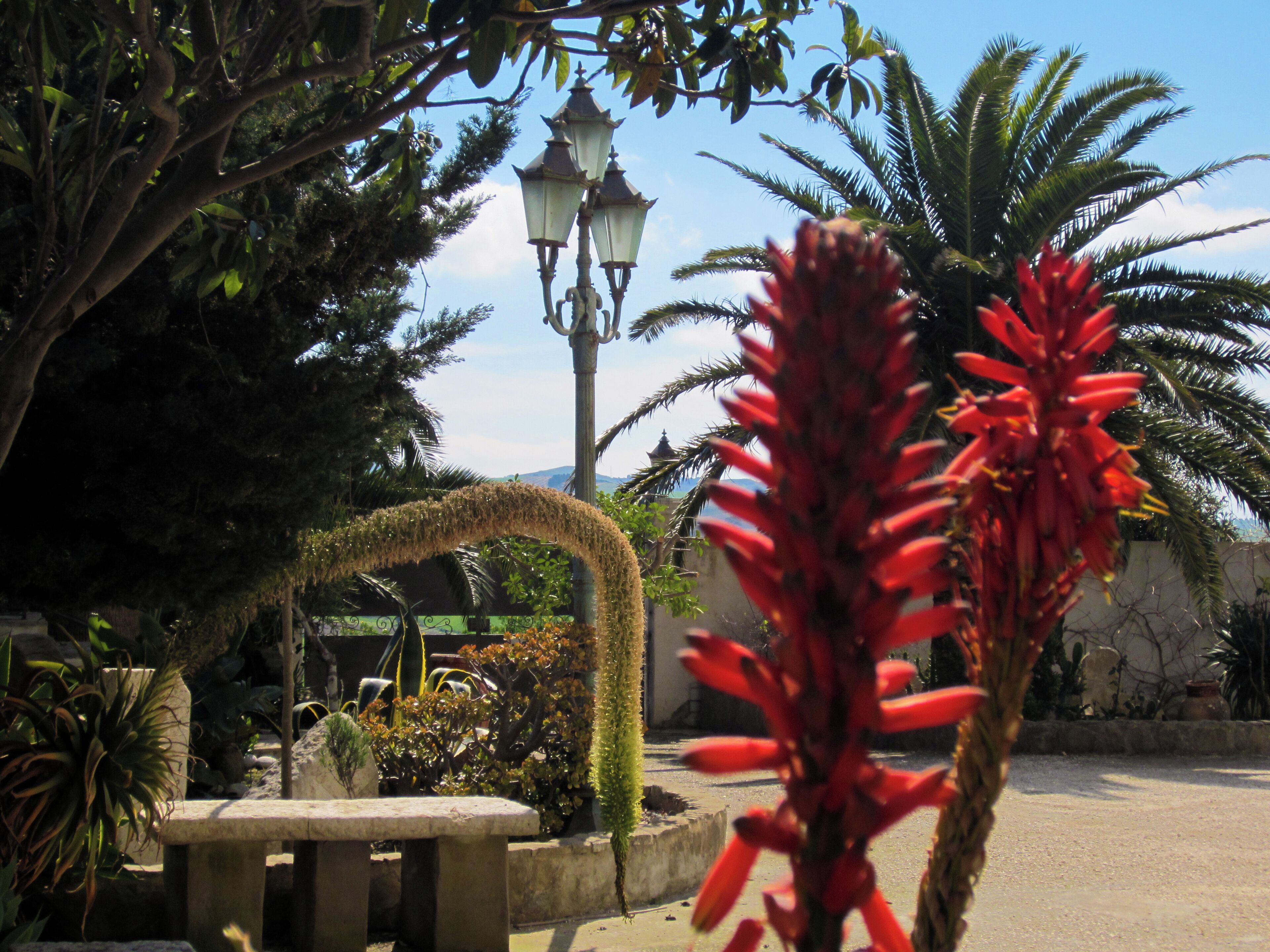 Jardin