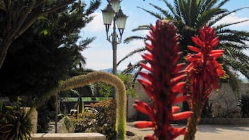 Jardin