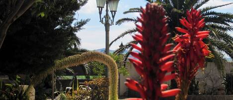 Jardín