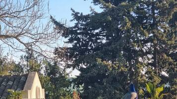 A peacock statue in a garden with a building and trees in the background.