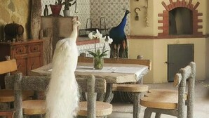 Un comedor rústico con pared de piedra, salpicadero de azulejos y chimenea.