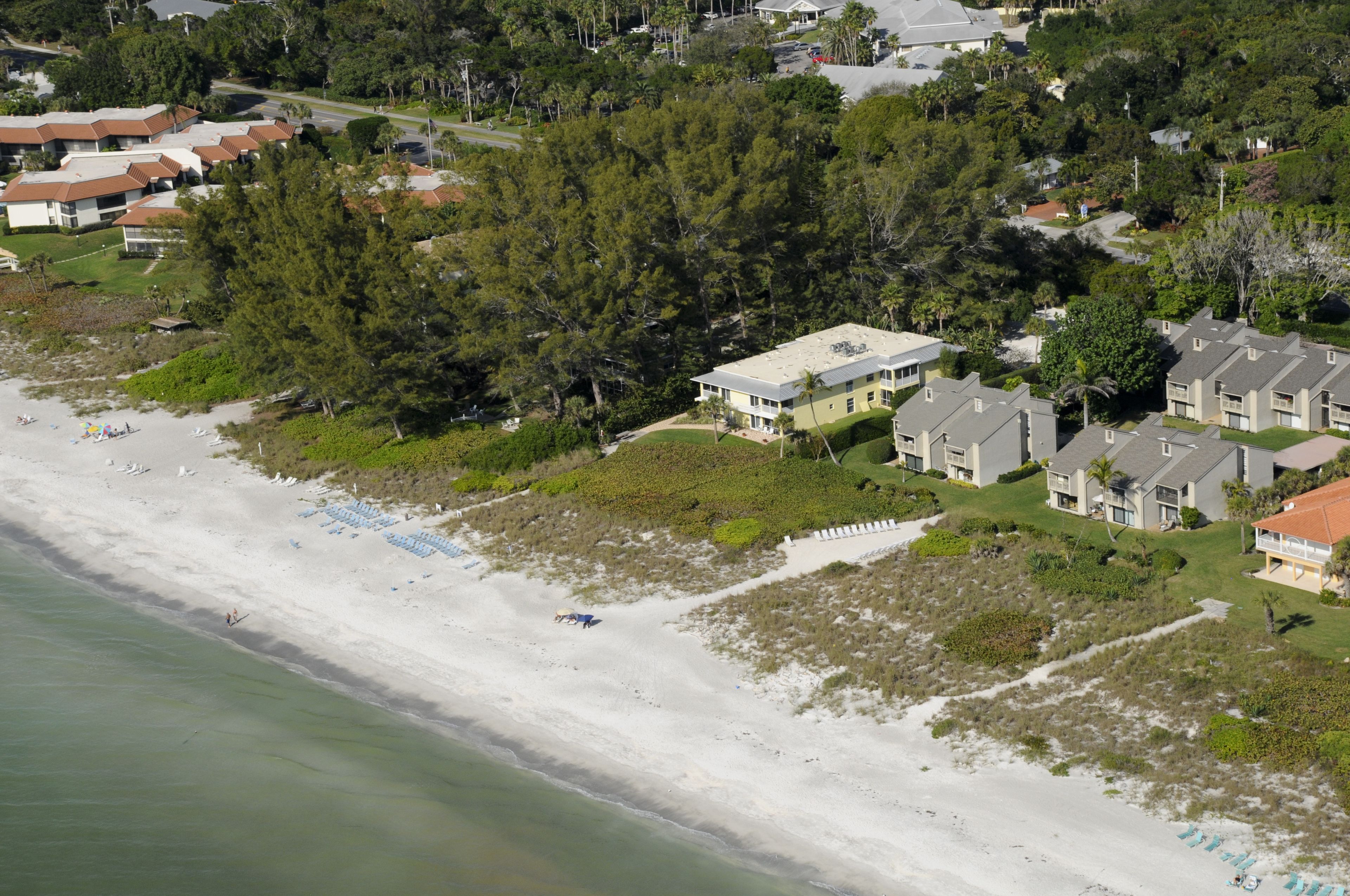 An aerial view of a coastal residential area with beachfront properties, dense greenery, and a sandy beach.