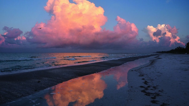 A beach with a large cloud formation reflecting on wet sand.