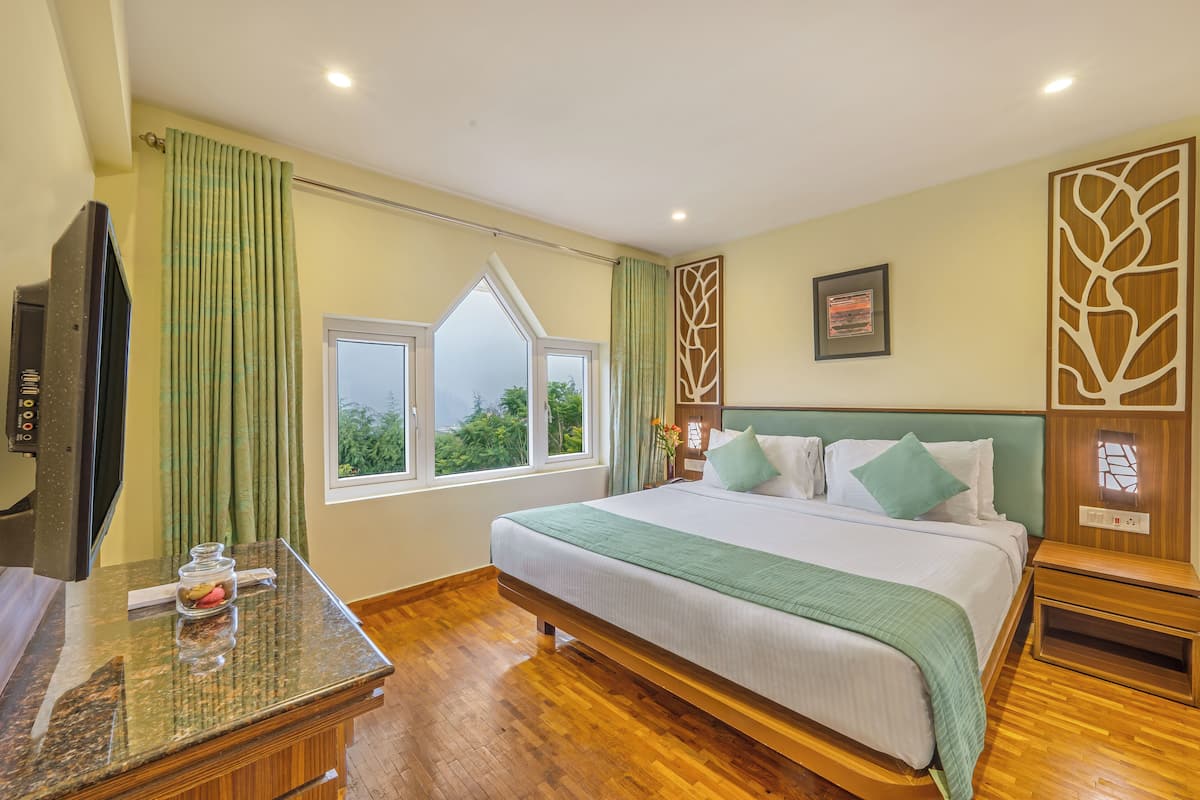 Une chambre d’hôtel avec un lit, une télévision, une fenêtre et une table de chevet en bois.