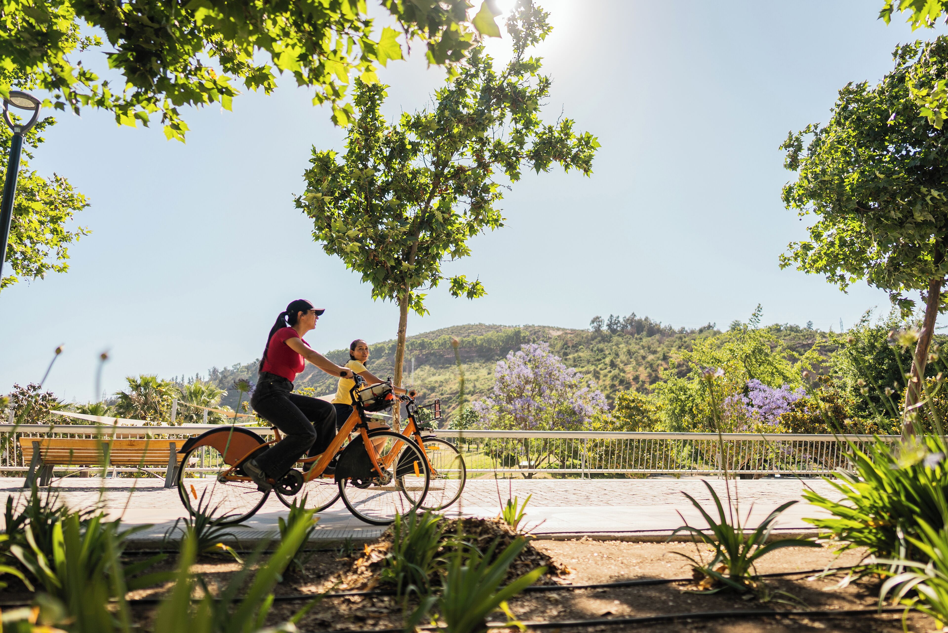 Photo - Royal Palm Hotel