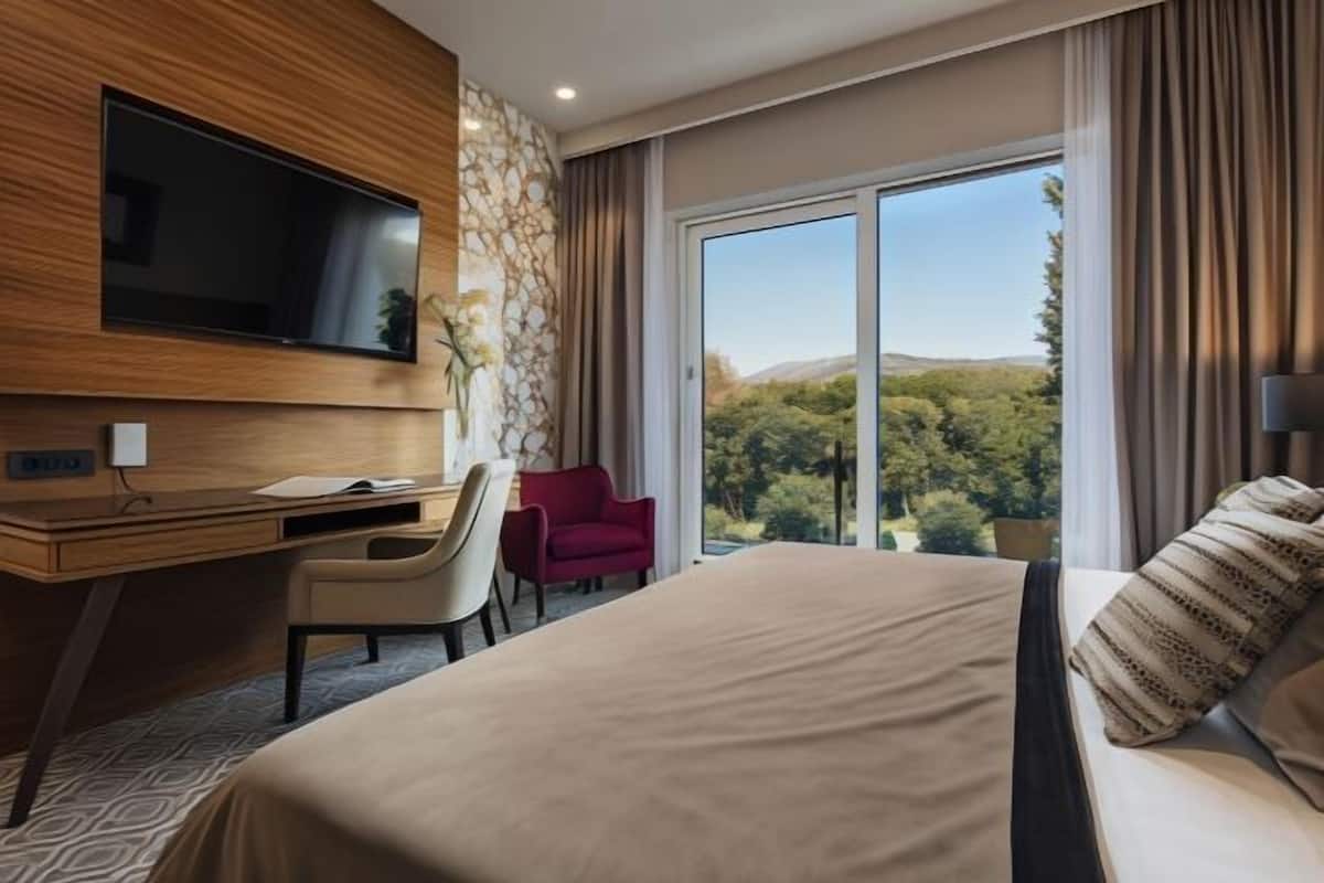 Hypo-allergenic bedding, minibar, in-room safe, desk