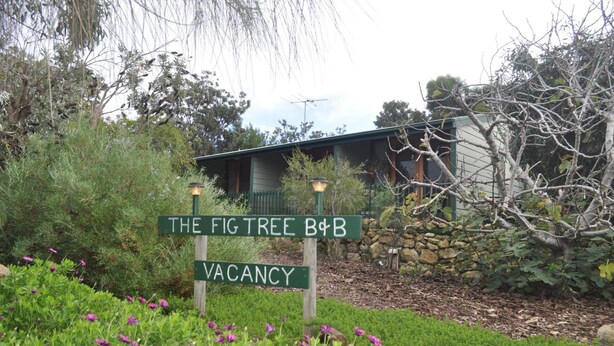 Een bord dat een beschikbaar pand aangeeft, genaamd 'The Fig Tree B&B', omringd door weelderige begroeiing en een stenen muur.