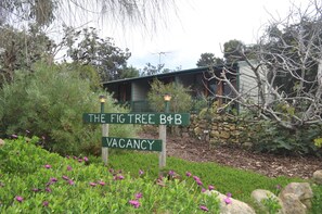 A sign indicating a vacant property named "The Fig Tree B&B" surrounded by lush greenery and a stone wall.