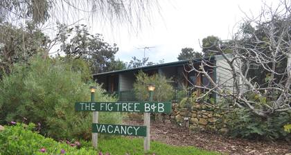 The Fig Tree B & B