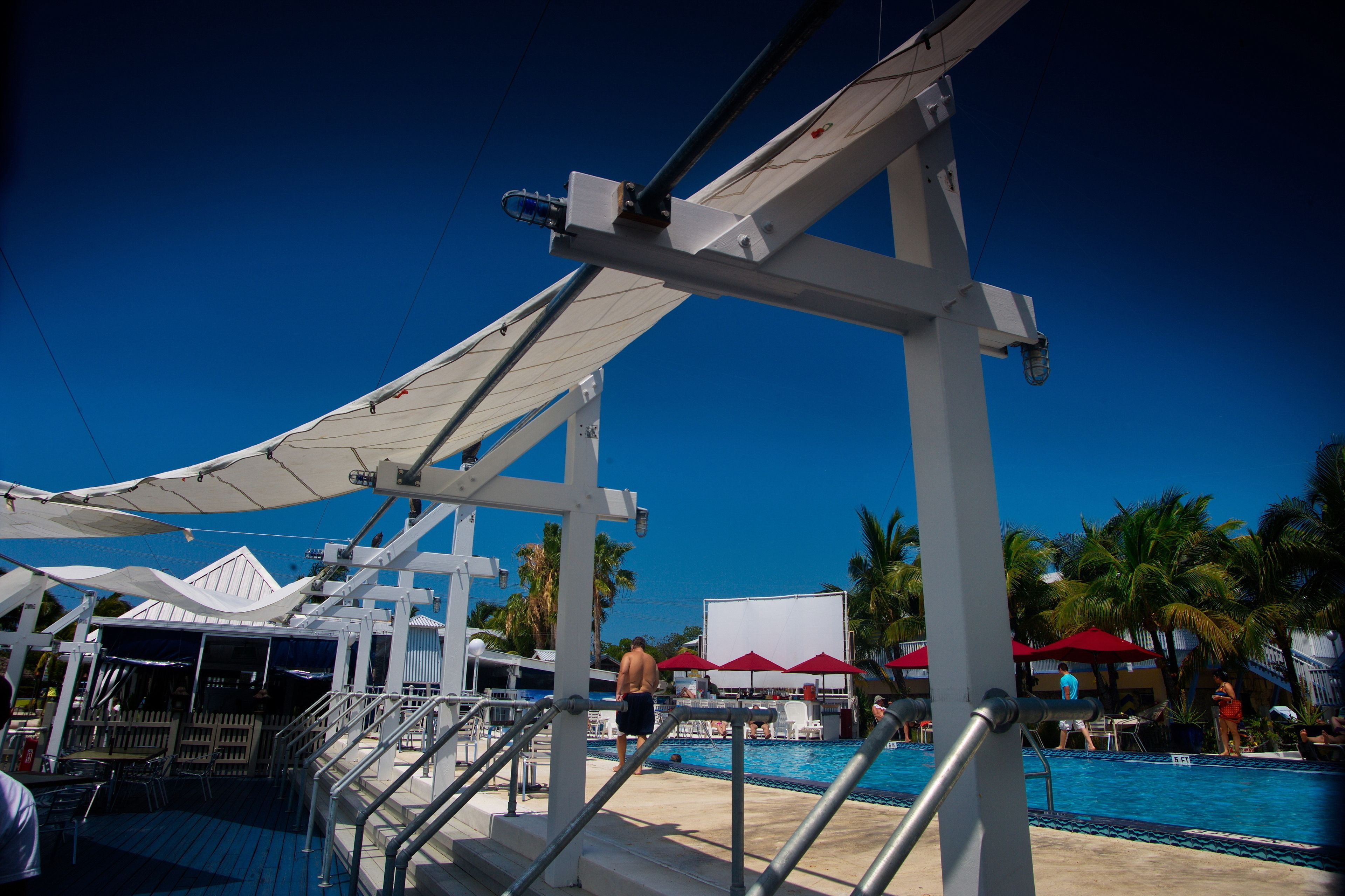 A poolside area with a white canopy, palm trees, and a clear blue sky.