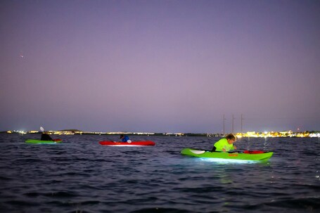 Ibis Bay Beach Resort - Image 52