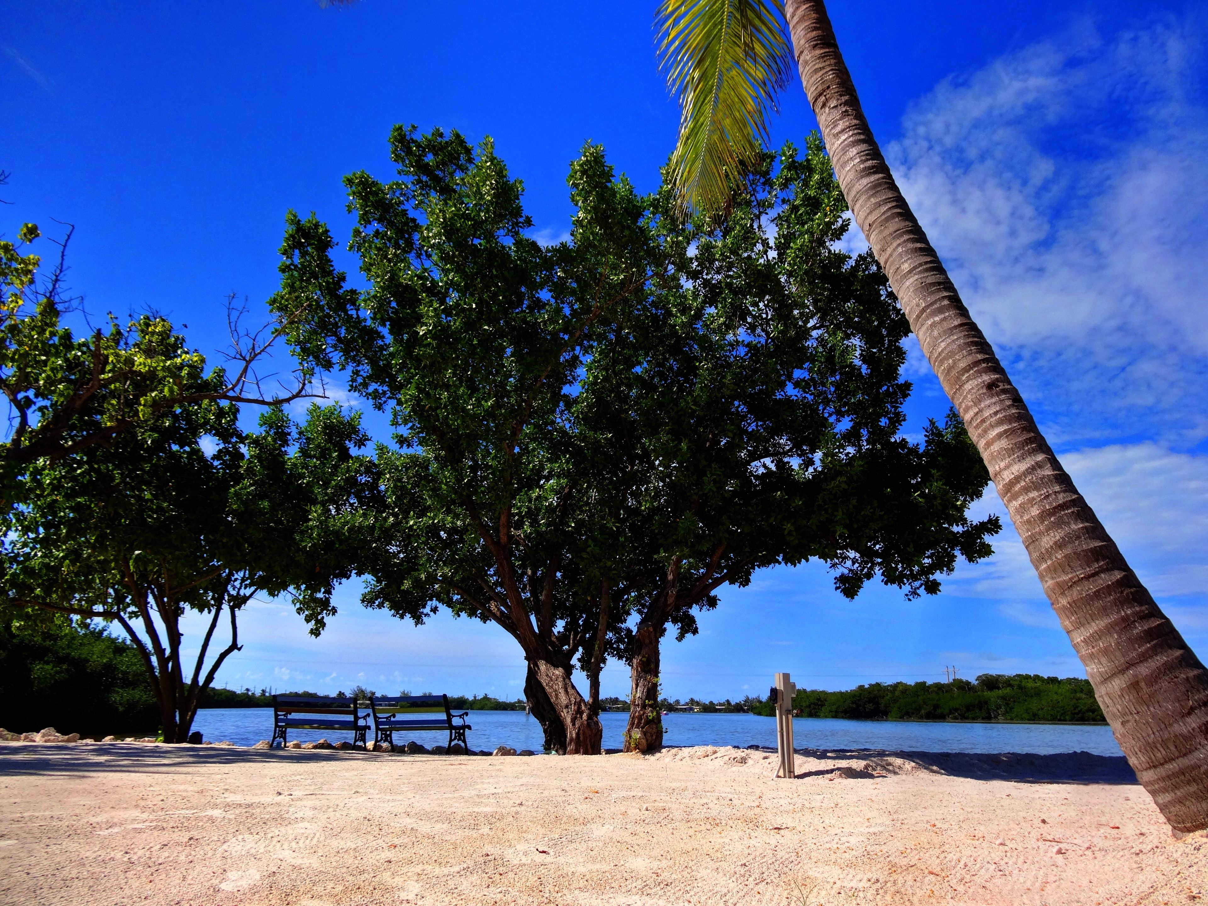 Foto - Ibis Bay Beach Resort