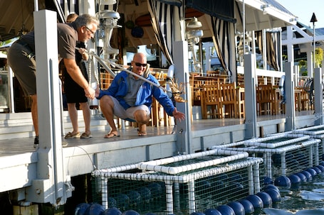 Ibis Bay Beach Resort - Image 20